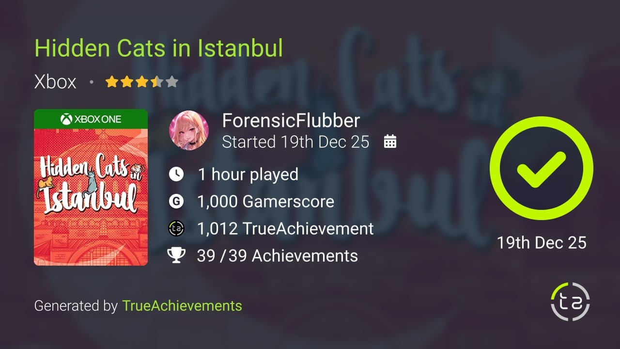 Hidden Cats in Istanbul achievement summary